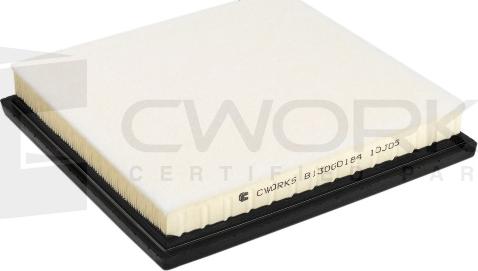 Cworks B130G0184 - Filtro aria autozon.pro