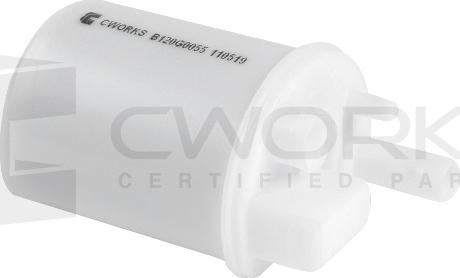 Cworks B120G0055 - Filtro carburante autozon.pro