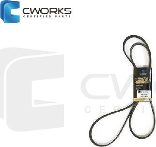 Cworks D111114453 - Cinghia Poly-V autozon.pro