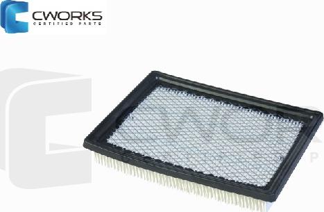 Cworks G2422N30P00 - Filtro aria autozon.pro