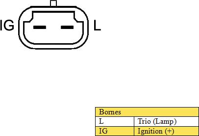 DA SILVA 050109 - Alternatore autozon.pro