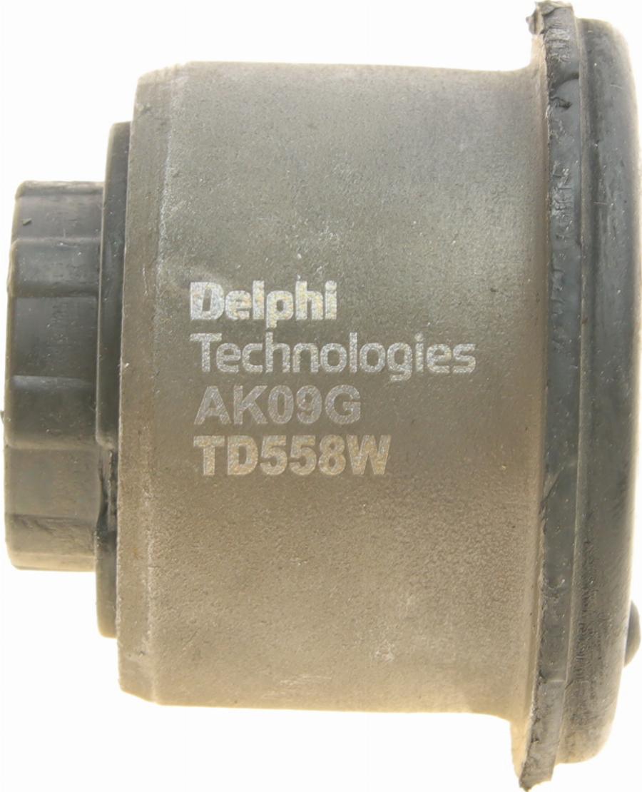 Delphi TD558W - Supporto, Braccio oscillante autozon.pro