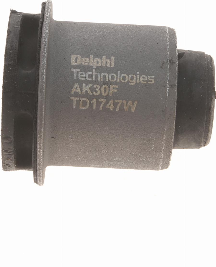 Delphi TD1747W - Supporto, Braccio oscillante autozon.pro