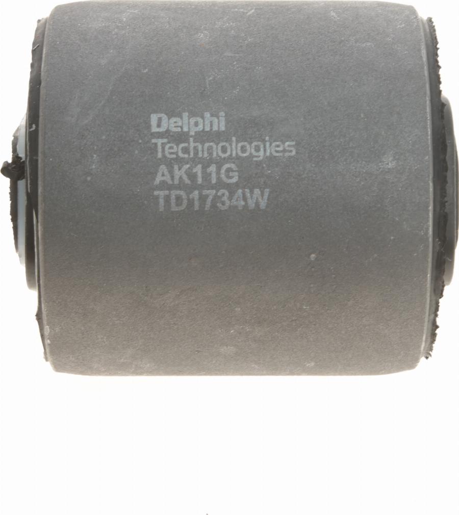 Delphi TD1734W - Supporto, Braccio oscillante autozon.pro