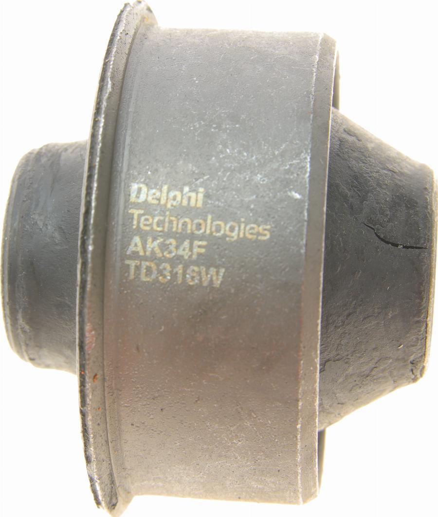 Delphi TD316W - Supporto, Braccio oscillante autozon.pro