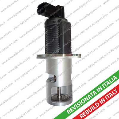 Dipasport EGR020R - Valvola ricircolo gas scarico-EGR autozon.pro