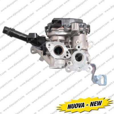 Dipasport EGR248N - Valvola ricircolo gas scarico-EGR autozon.pro