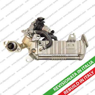 Dipasport EGR267RCR - Modulo EGR autozon.pro