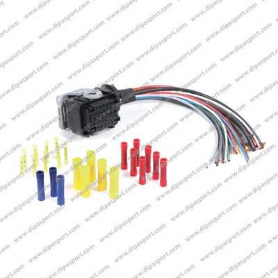 Dipasport PLUG1125 - Kit riparazione, Fascio cavi autozon.pro