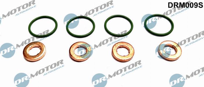 Dr.Motor DRM009S - Kit guarnizioni, Iniettore autozon.pro