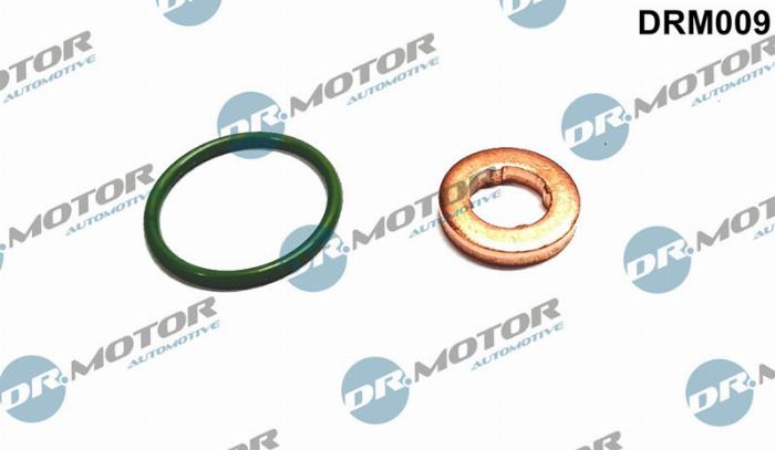 Dr.Motor DRM009 - Kit guarnizioni, Iniettore autozon.pro