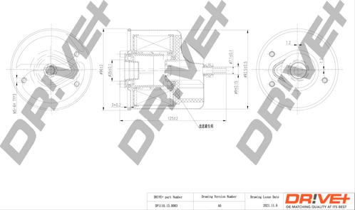 Dr!ve+ DP1110.13.0083 - Filtro carburante autozon.pro