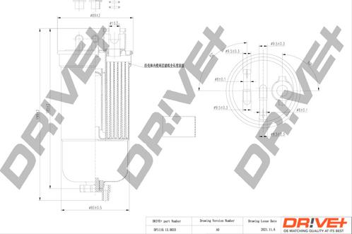 Dr!ve+ DP1110.13.0033 - Filtro carburante autozon.pro