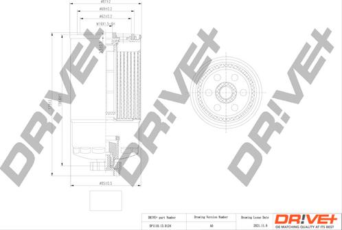 Dr!ve+ DP1110.13.0124 - Filtro carburante autozon.pro