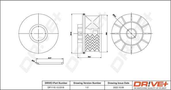 Dr!ve+ DP1110.13.0318 - Filtro carburante autozon.pro