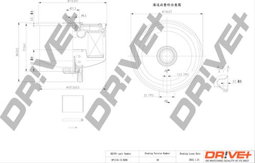 Dr!ve+ DP1110.13.0266 - Filtro carburante autozon.pro