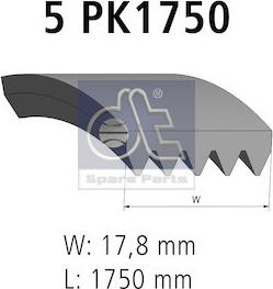 DT Spare Parts 4.81420 - Cinghia Poly-V autozon.pro