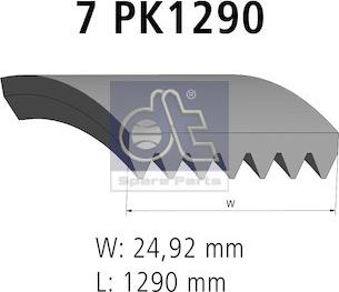 DT Spare Parts 4.81421 - Cinghia Poly-V autozon.pro