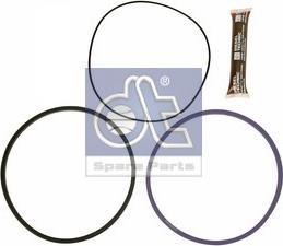 DT Spare Parts 2.91176 - Kit guarnizioni, Canna cilindro autozon.pro