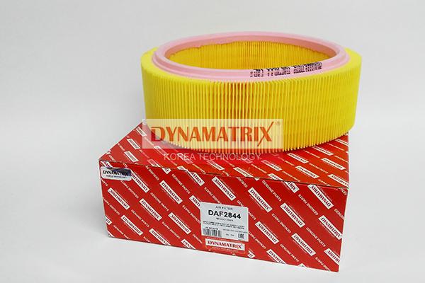 Dynamatrix DAF2844 - Filtro aria autozon.pro