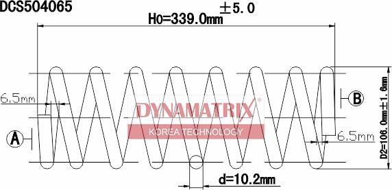 Dynamatrix DCS504065 - Molla autotelaio autozon.pro