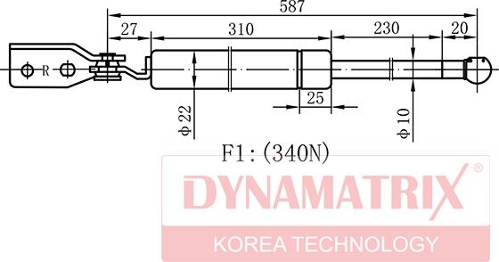 Dynamatrix DGS043977 - Ammortizatore pneumatico, Cofano bagagli / vano carico autozon.pro