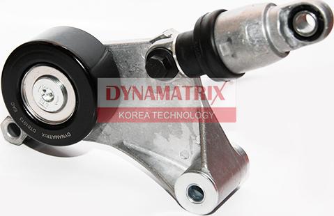 Dynamatrix DT61013 - Galoppino / Guidacinghia, Cinghia Poly-V autozon.pro