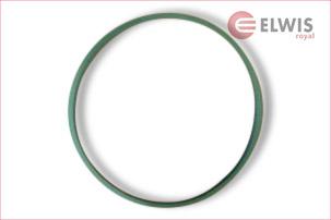 Elwis Royal 7015474 - Guarnizione, Alloggiam. collettore aspirazione autozon.pro