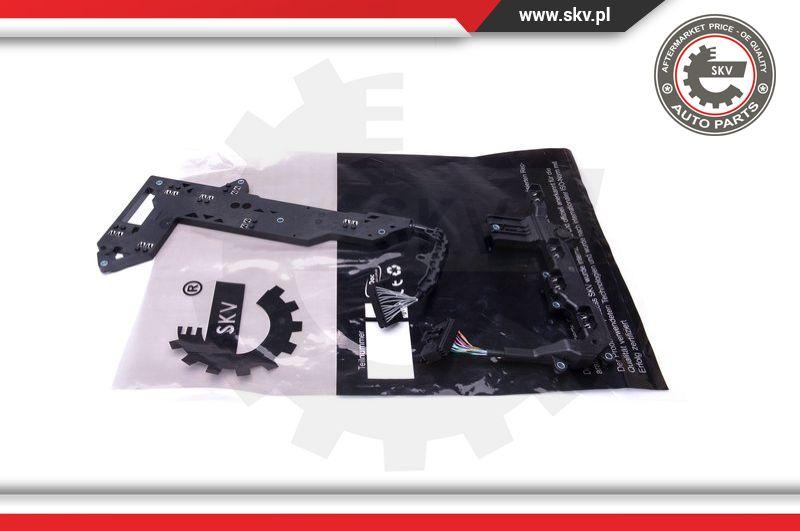 Esen SKV 96SKV065 - Kit riparazione, Flangia cambio automatico autozon.pro