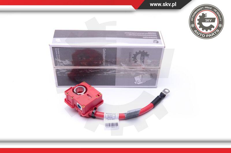 Esen SKV 96SKV309 - Adattatore batteria autozon.pro