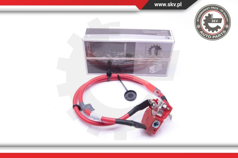 Esen SKV 96SKV307 - Adattatore batteria autozon.pro