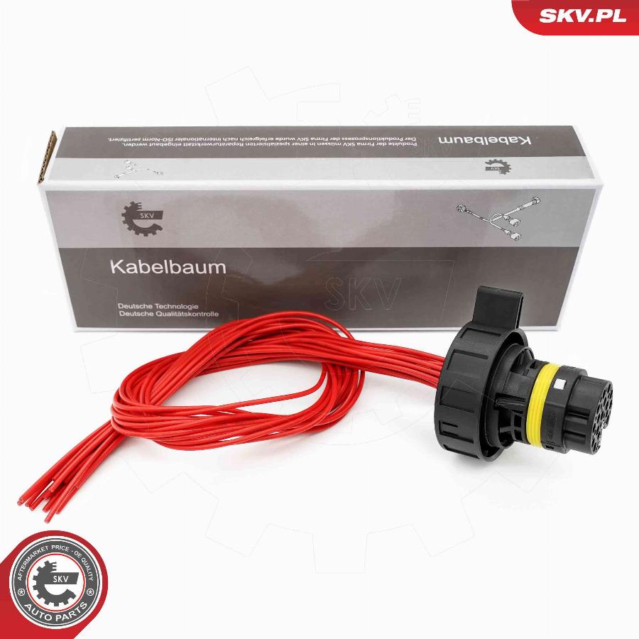 Esen SKV 53SKV029 - Valvola di comando,Cambio automatico autozon.pro