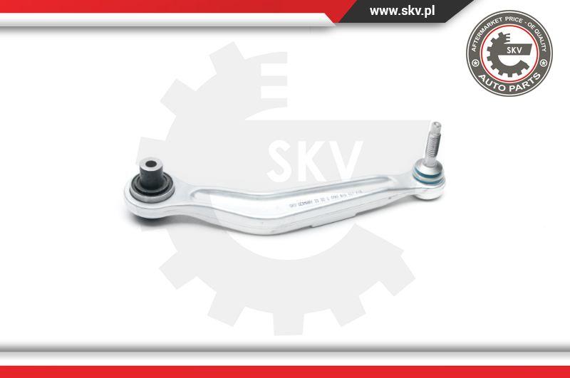 Esen SKV 04SKV141 - Braccio oscillante, Sospensione ruota autozon.pro