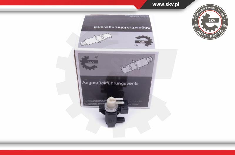 Esen SKV 14SKV915 - Convertitore pressione, Turbocompressore autozon.pro