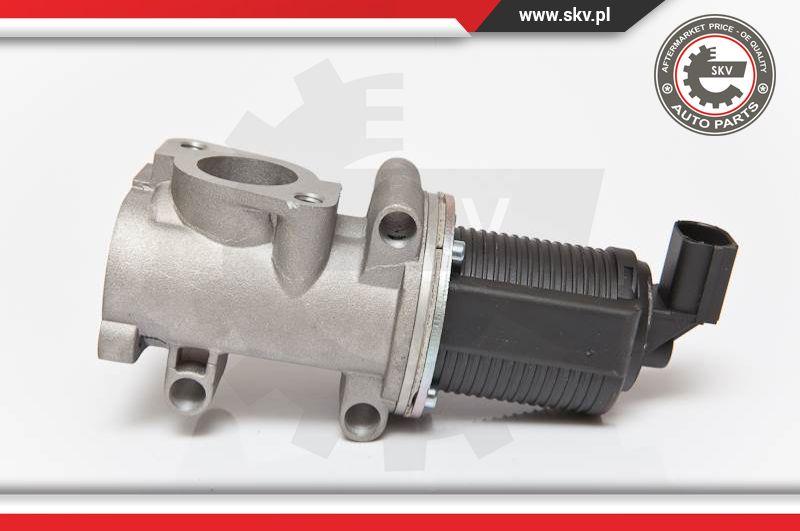 Esen SKV 14SKV055 - Valvola ricircolo gas scarico-EGR autozon.pro