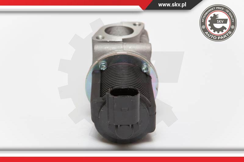 Esen SKV 14SKV055 - Valvola ricircolo gas scarico-EGR autozon.pro