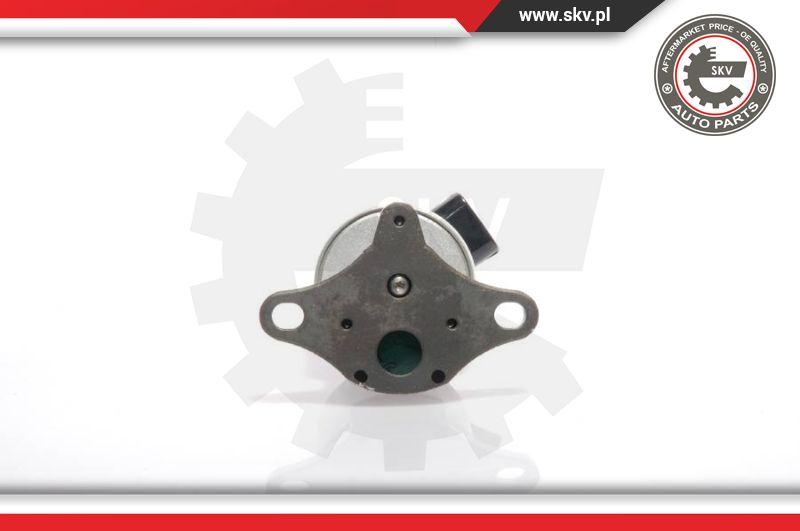 Esen SKV 14SKV017 - Valvola ricircolo gas scarico-EGR autozon.pro