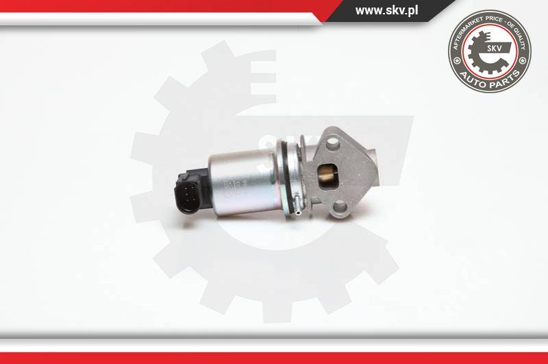 Esen SKV 14SKV029 - Valvola ricircolo gas scarico-EGR autozon.pro