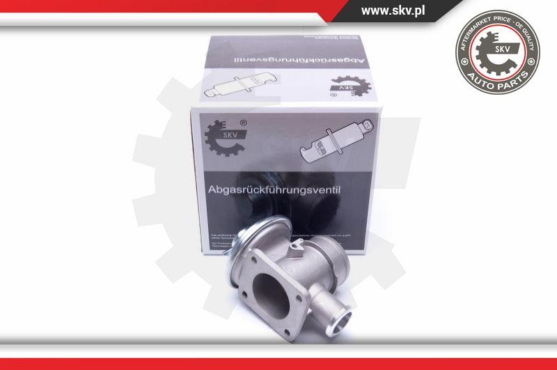 Esen SKV 14SKV179 - Valvola ricircolo gas scarico-EGR autozon.pro