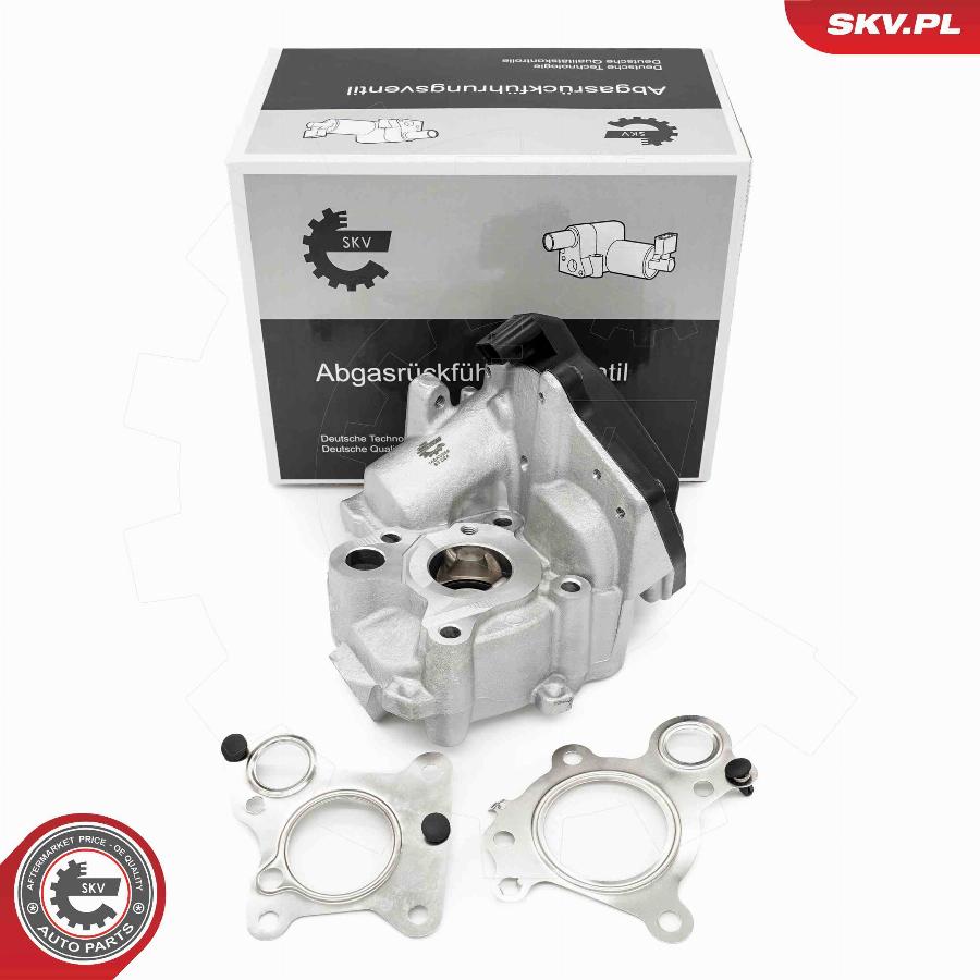 Esen SKV 14SKV259 - Valvola ricircolo gas scarico-EGR autozon.pro