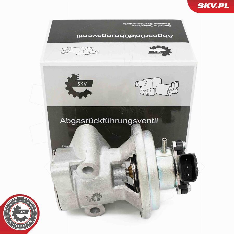 Esen SKV 14SKV269 - Valvola ricircolo gas scarico-EGR autozon.pro