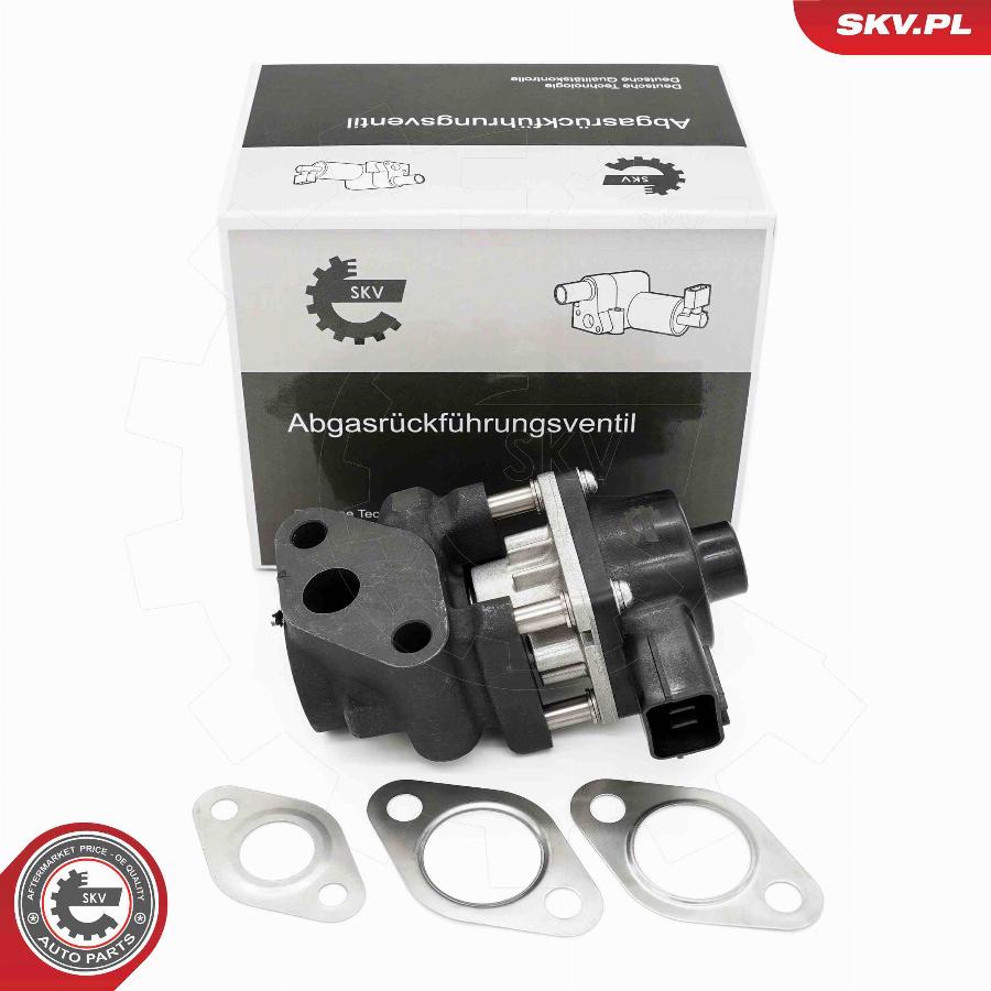 Esen SKV 14SKV260 - Valvola ricircolo gas scarico-EGR autozon.pro