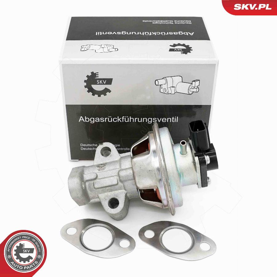 Esen SKV 14SKV262 - Valvola ricircolo gas scarico-EGR autozon.pro