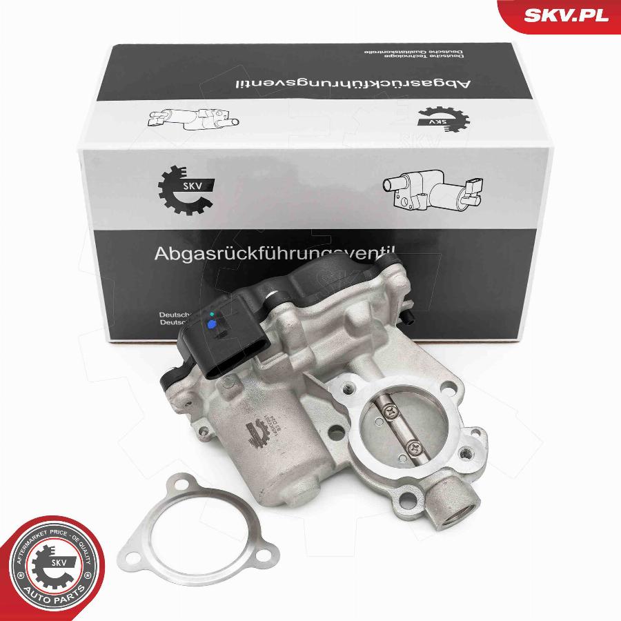 Esen SKV 14SKV281 - Valvola ricircolo gas scarico-EGR autozon.pro