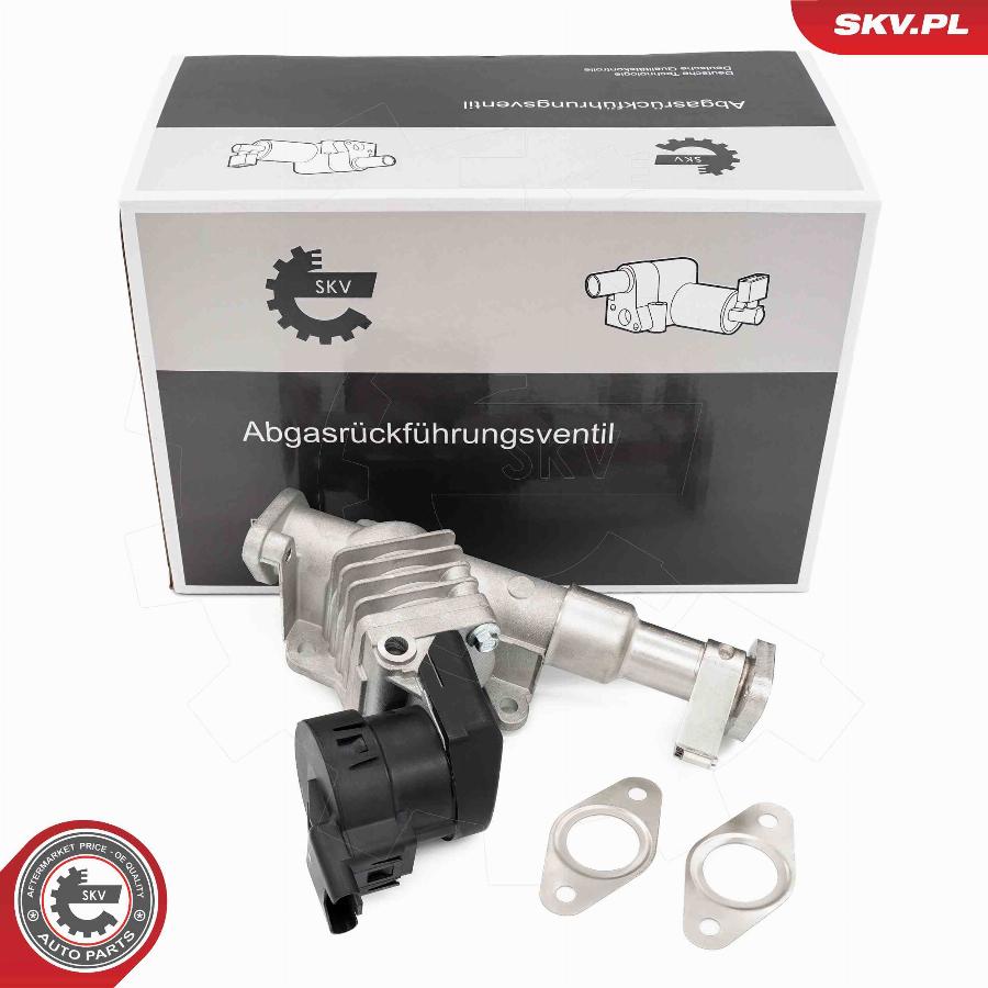 Esen SKV 14SKV287 - Valvola ricircolo gas scarico-EGR autozon.pro