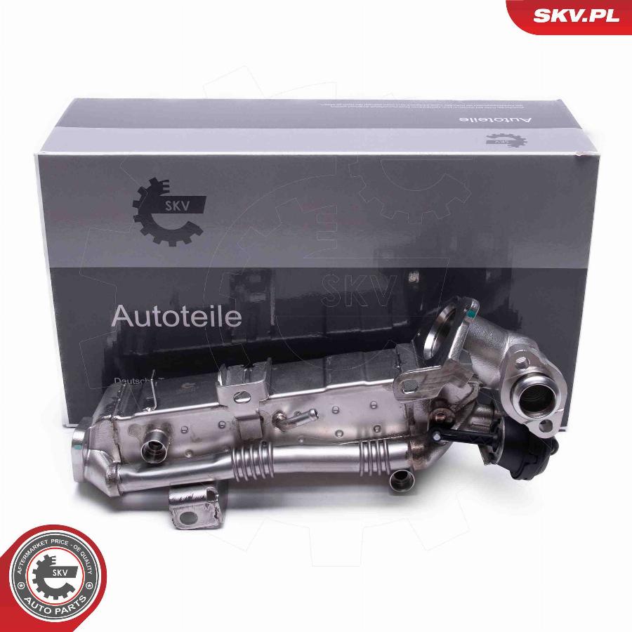 Esen SKV 14SKV239 - Valvola ricircolo gas scarico-EGR autozon.pro