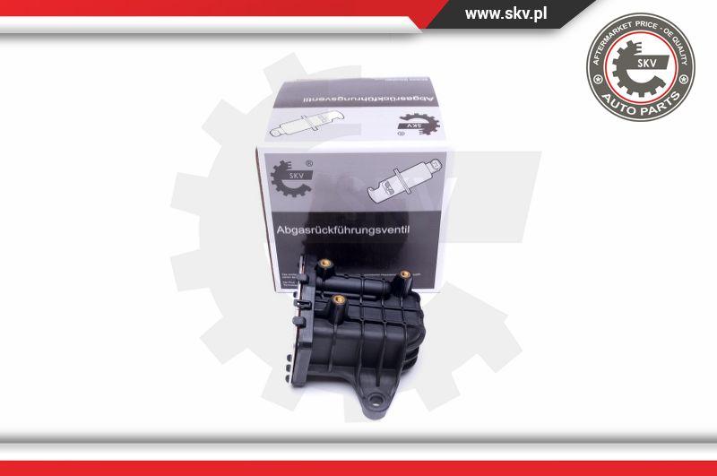 Esen SKV 14SKV231 - Valvola ricircolo gas scarico-EGR autozon.pro