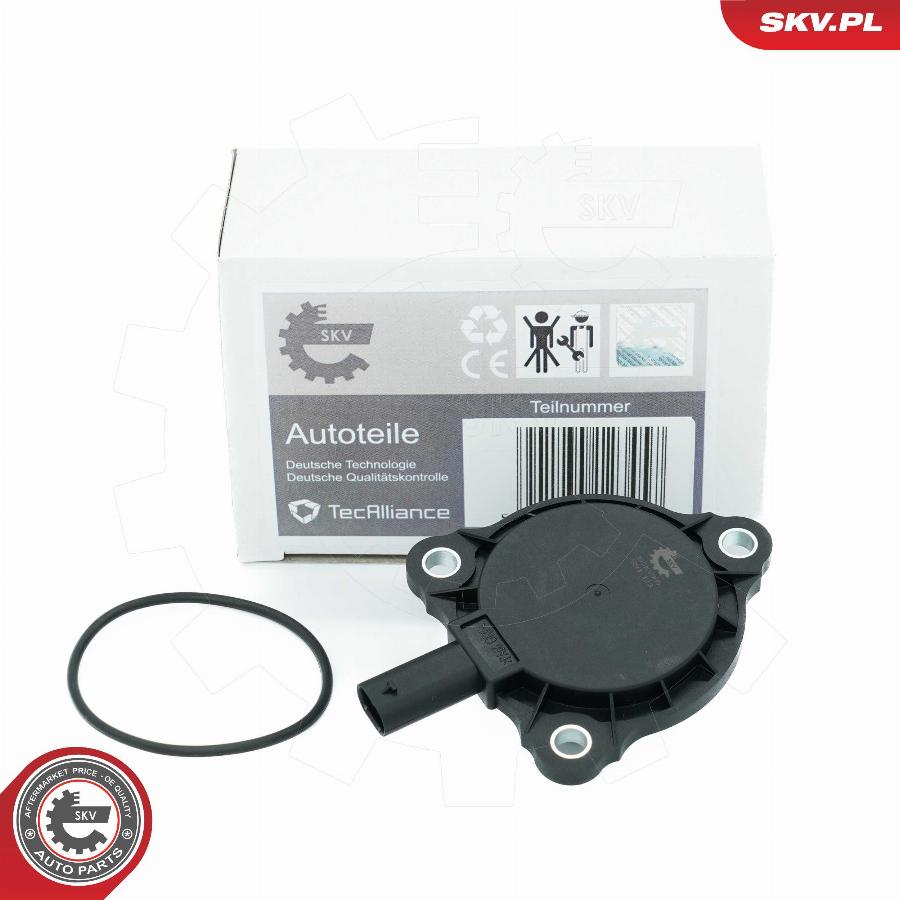 Esen SKV 39SKV905 - Magnete centrale, Regolazione albero a camme autozon.pro