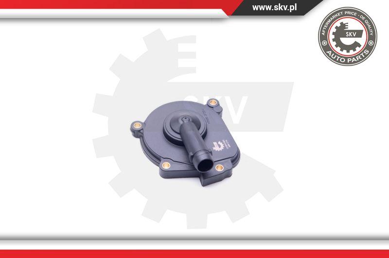 Esen SKV 31SKV062 - Separatore olio, Ventilazione monoblocco autozon.pro