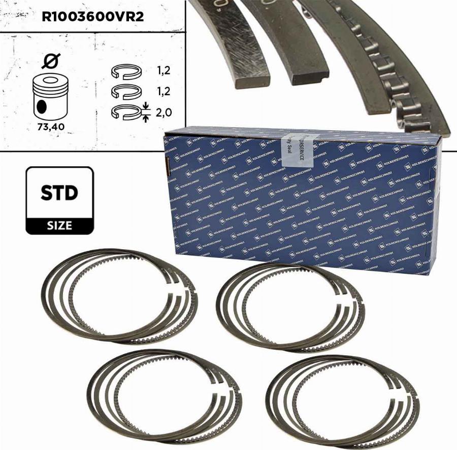 ET Engineteam R1003600VR2 - Kit fasce elastiche autozon.pro